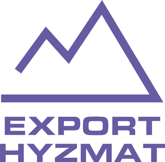 Export Hyzmat logo
