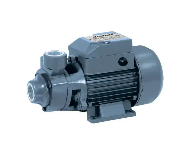 VGV Mini 80 | Basyş Nasosy 0,75 kW 50 l/min