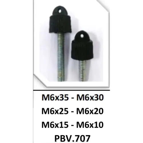 SERMAK 506-35 | Panelli bolt M6x35 plastmassa kelleli