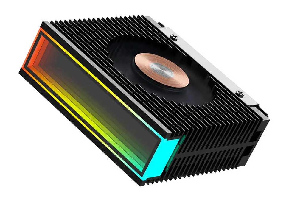 Jungle Leopard FNJLS50 | SSD NVMe Sowadyjy Passiw Alýumin Radiator