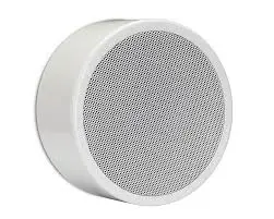 SCL SPWL10W | Wall and Ceiling Speaker 10W Waterproof IP55