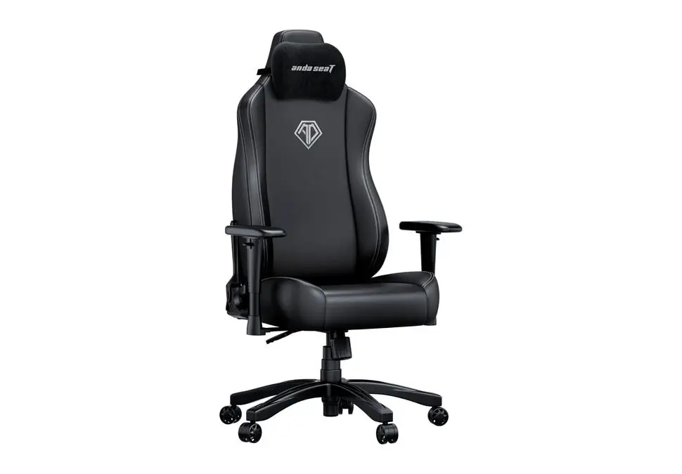 ANDASEAT Novis Max XL | Gaming Chair 120 kg Leather Black