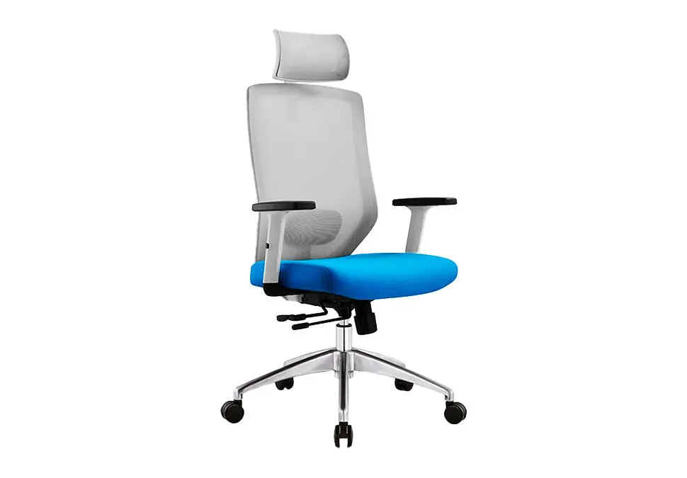 NOEL OCNJOUHBLU | Ofis Oturgyjy Tor+Mata 2D Bel Goldawy Gök-gök