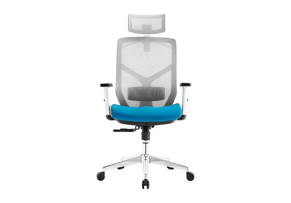 NOEL CHNLIHWGR | Ofis oturgyjy 2D bel goldawy ak karkas