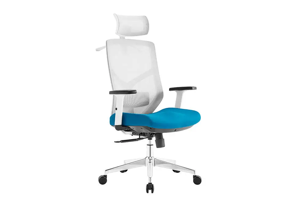 NOEL CHNLIHWGR | Ofis oturgyjy 2D bel goldawy ak karkas