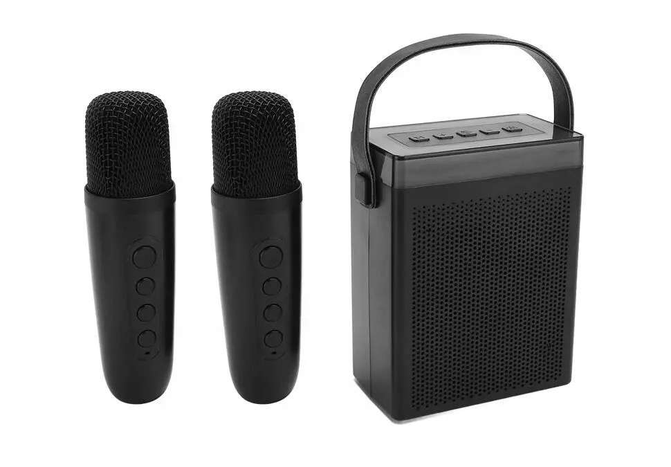 SPCARK SPCARKK16BLK | Portable Speaker Double Wireless Microphone RGB