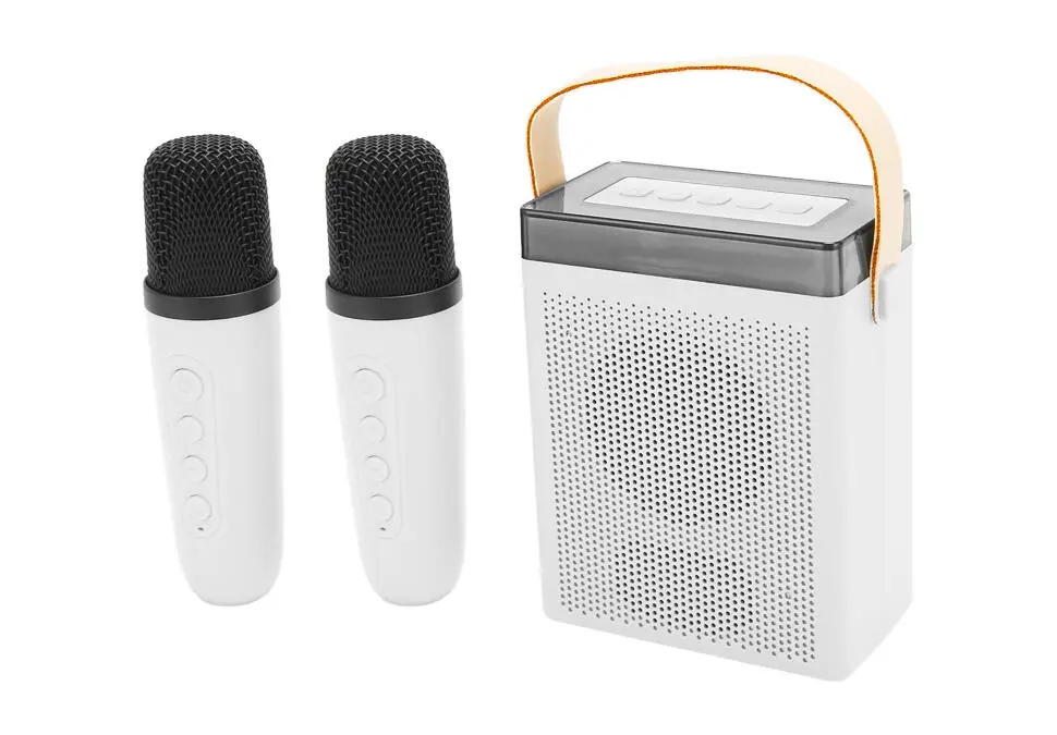 PORTABLE SPEAKER SPOPK16WH | Göçme gürleýji iki simsiz mikrofon RGB