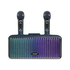 SDRD SD319PRO | Göçme ses guraly iki simsiz mikrofon RGB Bluetooth