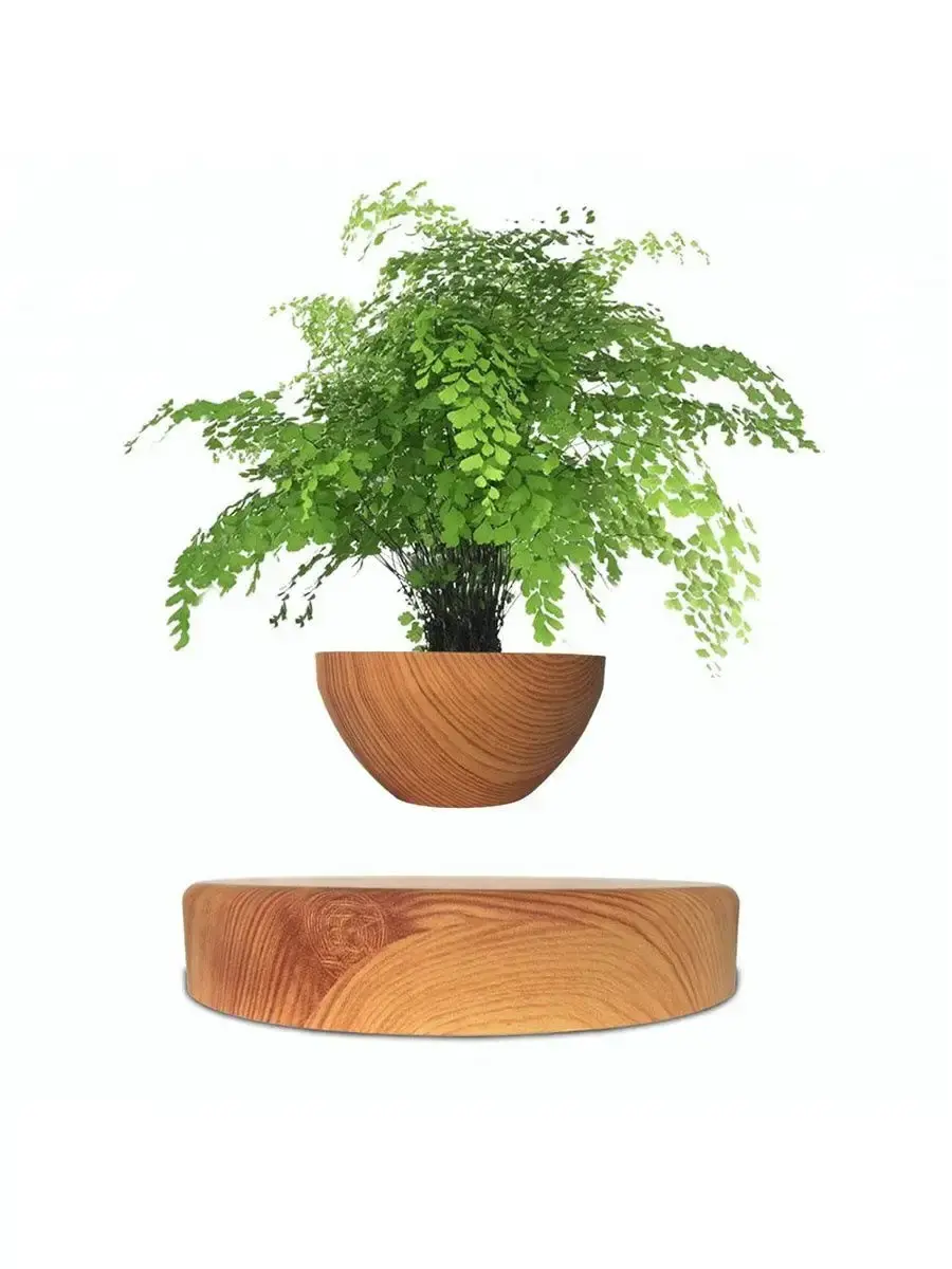 MAGIC YMLW | Uçýan ösümlik gapy plastmassa agaç bej