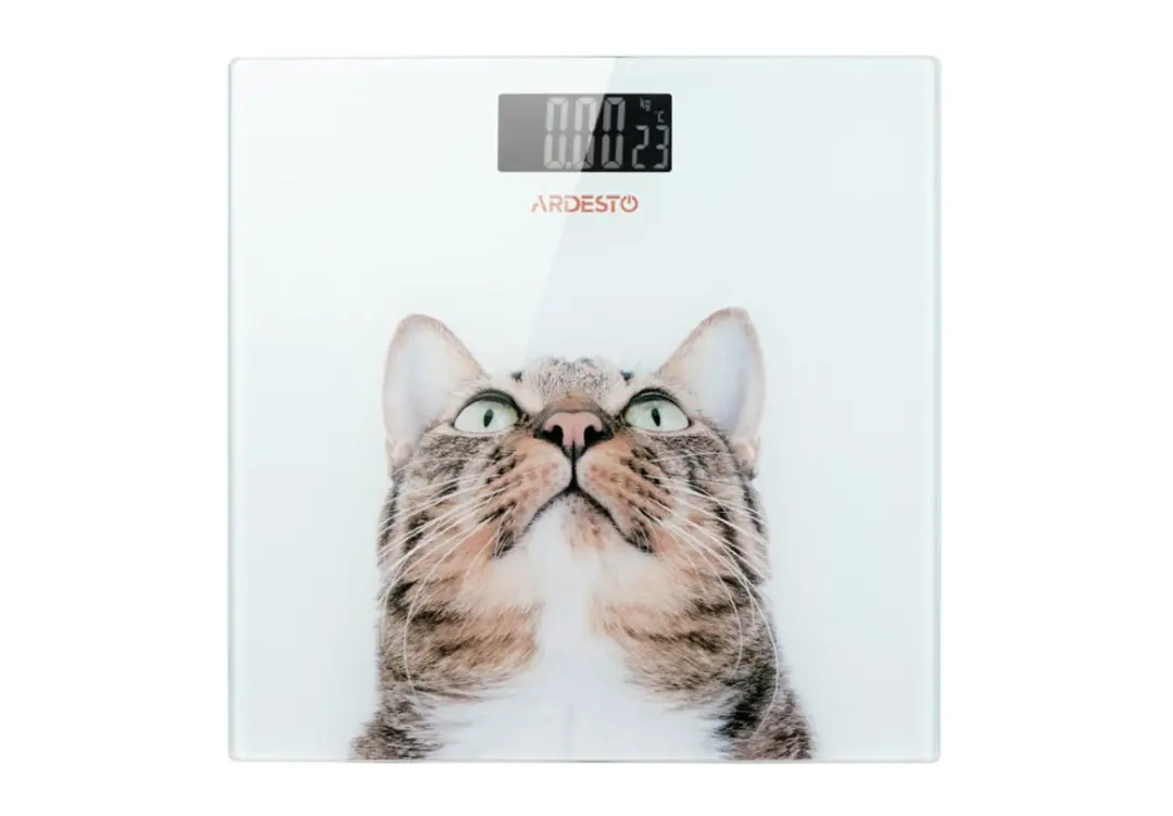 ARDESTO SCB-965 | Электронные весы 5-150 кг