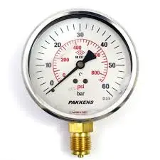 Pakkens 1001001111 | Pressure Gauge Ø100mm Glycerin-Filled 0–60 bar/psi