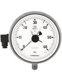 Pakkens 1002001107 | Мановакуумметр Ø100мм глиц., -1/+9 бар