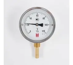 Pakkens 1004020205 | Bimetal Thermometer Ø100mm 0/+120°C Rear G1/2"B