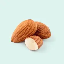 Premium Almonds for Wholesale