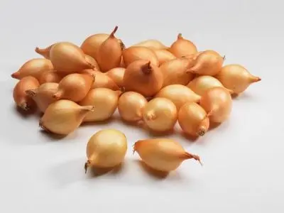 Лук (мелкий)