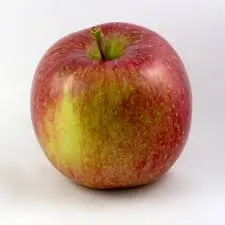 Premium Fuji Apples
