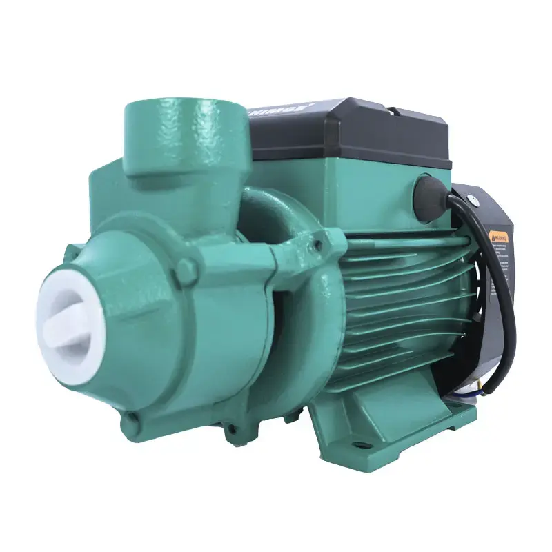 Shimge QB-60G1 | Suw nasosy 0,37kW döküm demir