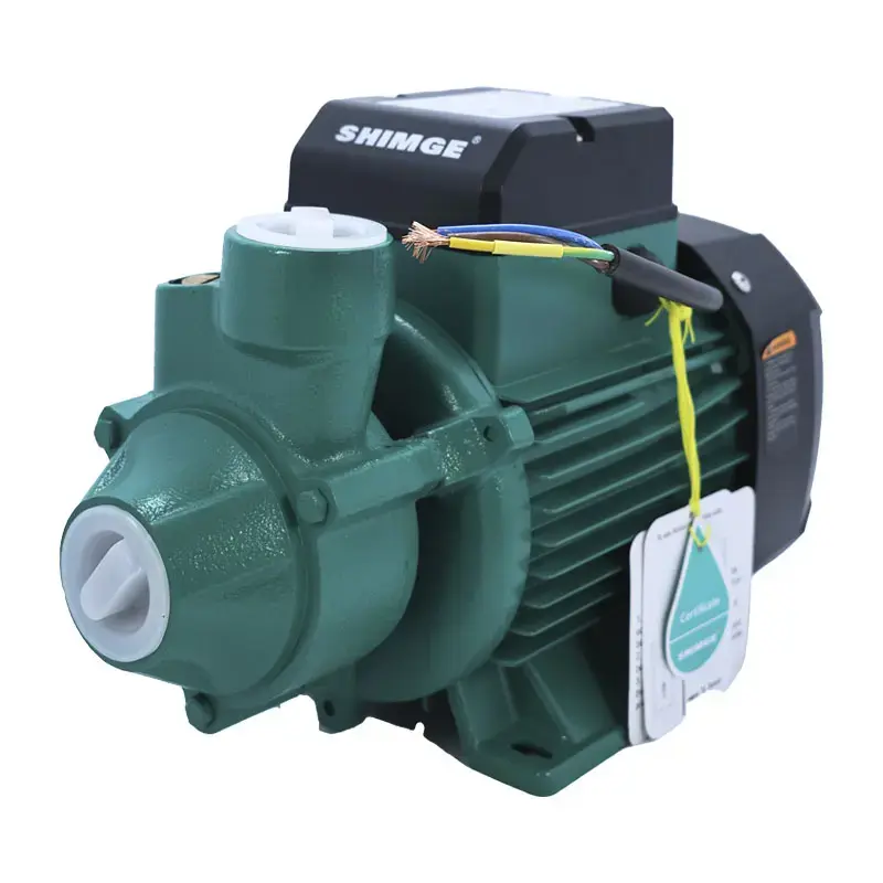 Shimge QB-70G1 | Surface Water Pump 0.55kW