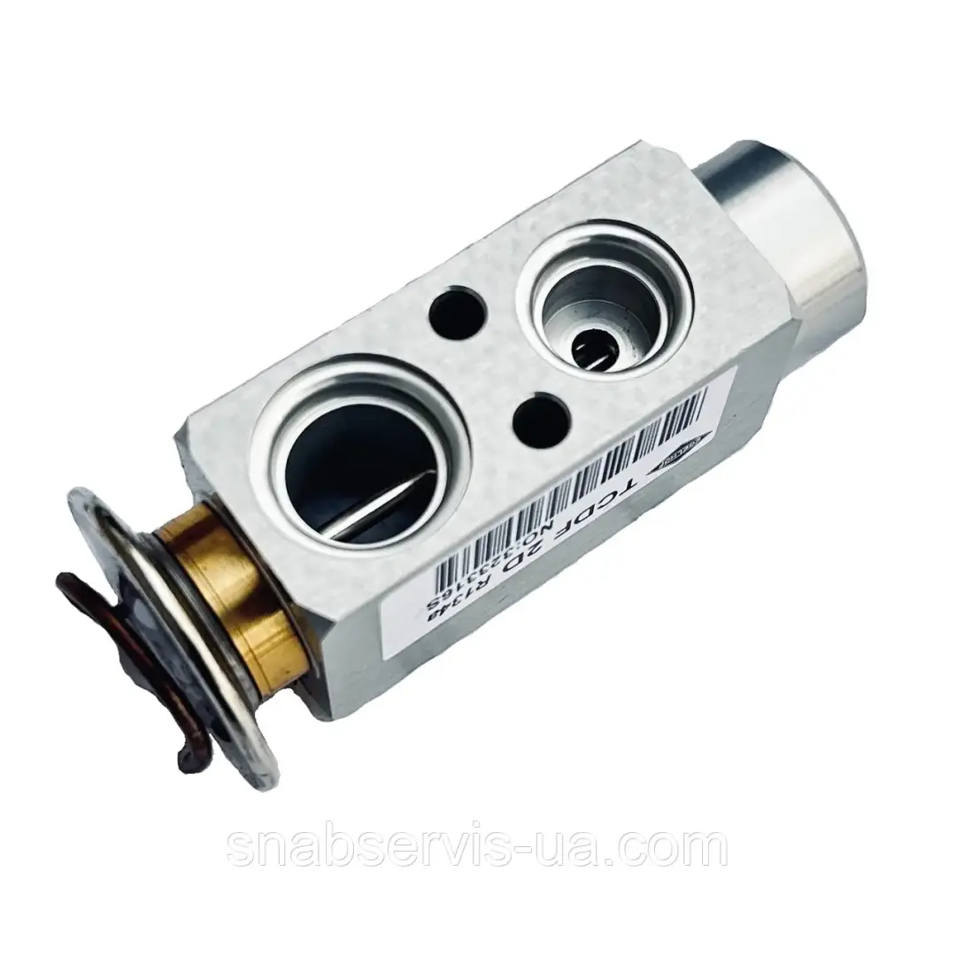 DENSO DVE99205 | MAN kondisioner giňeldiji klapan, OEM hili