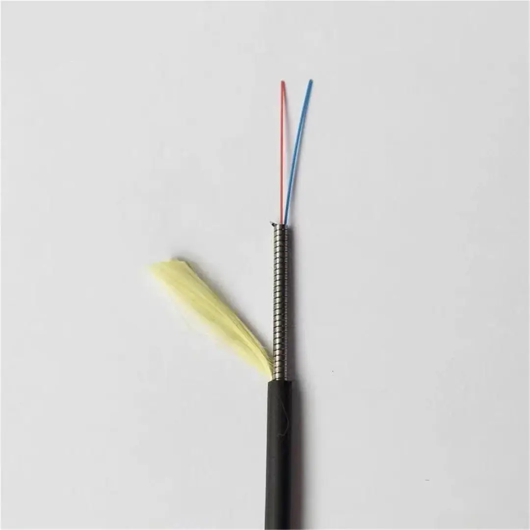 Bellenilmedik | Optiki Patch Panel 2 Süňkli Doly Süňk