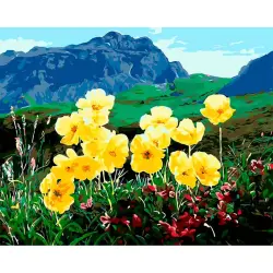 YS YS44133 | Картина по номерам 40x50 см Горные цветы