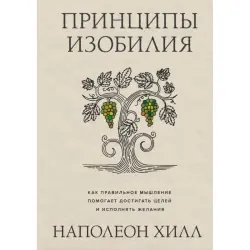 Принципы изобилия BK-00101806 | Деловая книга на русском языке