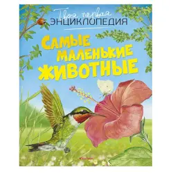 Бомон Э. BK-00081134 | Детская образовательная книга компактное издание