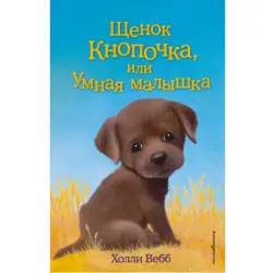 Holly Webb BK-00047244 | Детская книга, популярный сюжет, быстрая доставка