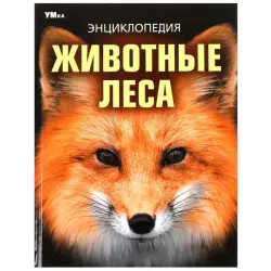 Umka BK-00101611 | Children's Encyclopedia Forest Animals