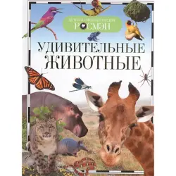 Росмэн UP-00004561 | Детская энциклопедия твердый переплет