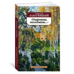 Zabolotsky N. BK-00081032 | Book Russian Classic Fast Delivery