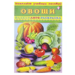Комплект учебных пособий Овощи BK-00028937 | Учебный комплект для детсадов