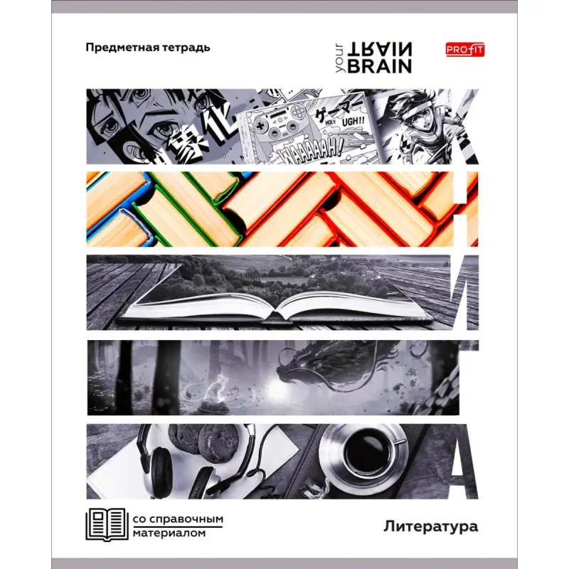 Profit BK-00099591 | Предметная тетрадь Литература 48 листов