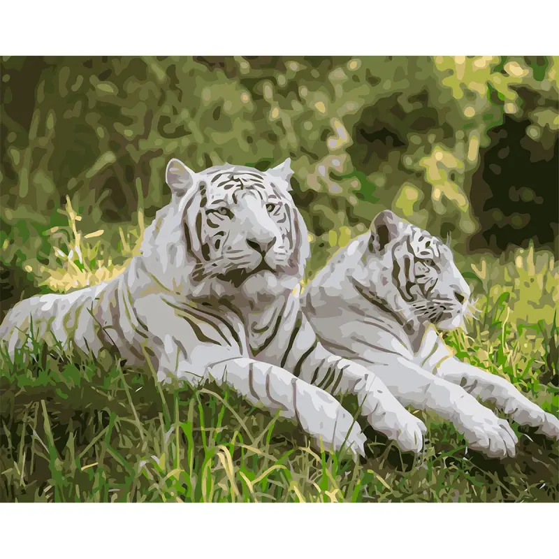 YS BK-00100673 | Картина по номерам 40x50 см Белые тигры