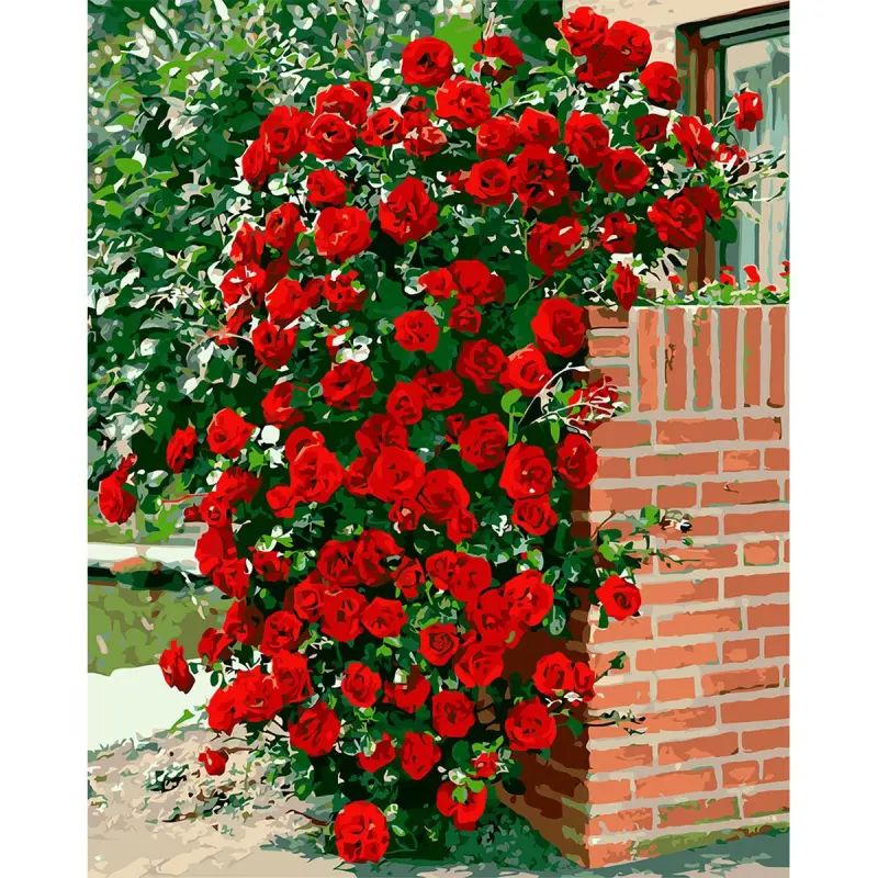 YS YS46752 | Paint by Numbers Kit 40x50 cm Climbing Rose