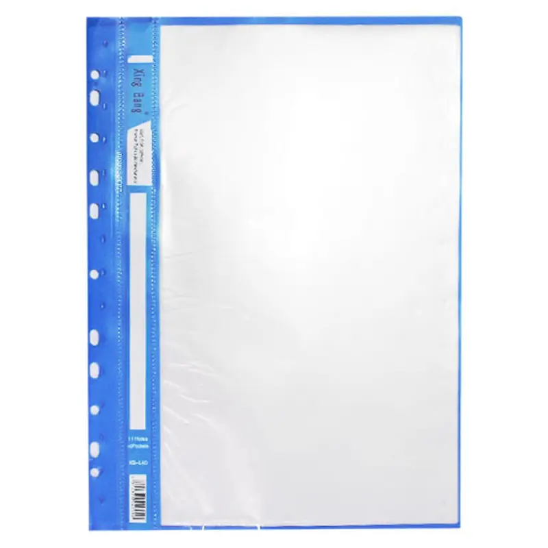BK BK-00046459 | Folder with Files Perforated 10 Sleeves