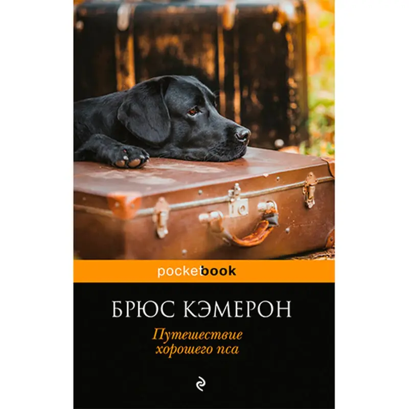 Cameron Bruce BK-00020878 | Book Journey of a Good Dog Russian Edition