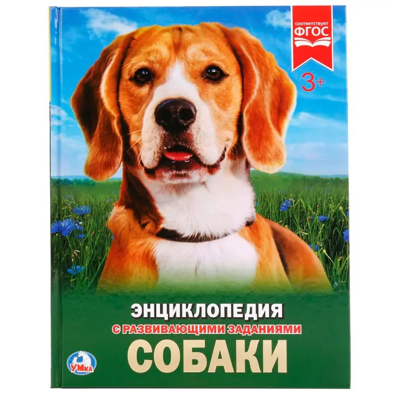 Umka BK-00101597 | Çagalar ensiklopediýasy A4 ösüş tabşyryklary bilen