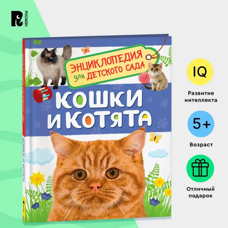 Migunova BK-00100290 | Children's Educational Book Kindergarten Edition