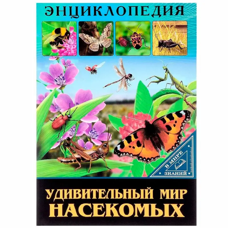 ЭНЦИКЛОПЕДИЯ BK-00097522 | Okuw Kitaby Göçümeler Suratlandyrylan Neşir