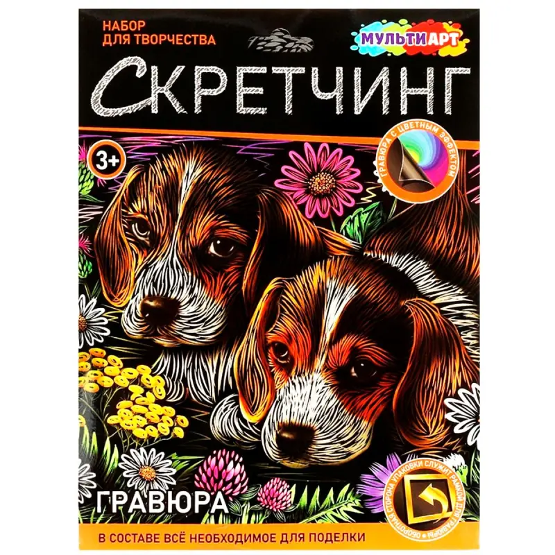 Multi Art BK-00101368 | Skratç Grawýura Toplumy 18x24 sm Güjüklikler