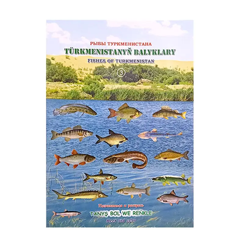 Раскраска BK-00062776 | Раскраска Рыбы Туркменистана №3