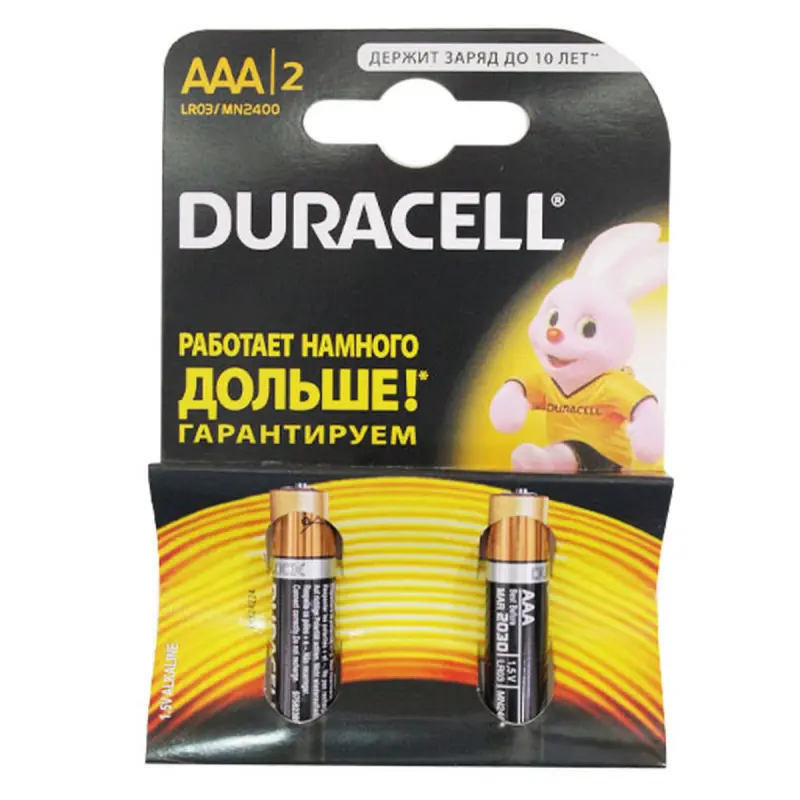 Duracell UP-00007789 | Батарейки AAA 2 шт. Длительное питание