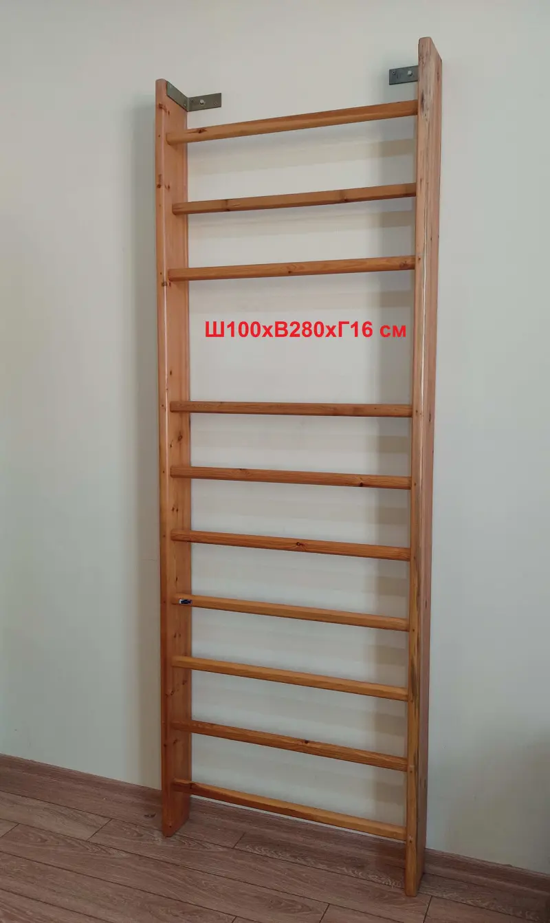 Gymnastic Wall Bar 280x100x16 cm Wood