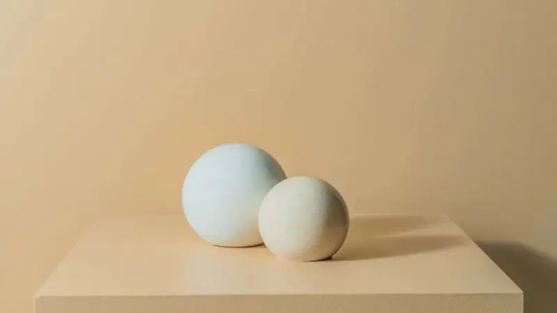 CASE 3200419469 | Large Ceramic Ball