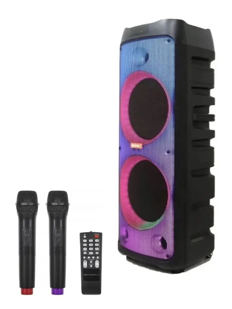 DIGIVOLT DG-1105 | Floorstanding Speaker 10000W 12" Dual Mic