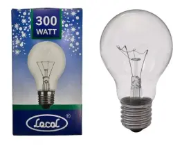 Incandescent Lamp E27 300W