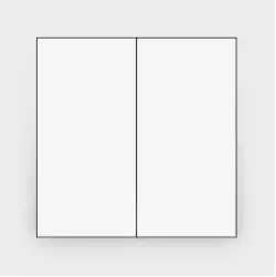 Moderna E01040 | Double Rocker Switch 10A Concealed Mount