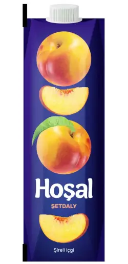 Hoshal | Peach Juice Bulk Pack 12 Units