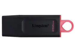 Kingston FLKI256GDTX | USB флеш-накопитель 256ГБ USB 3.2 Gen1